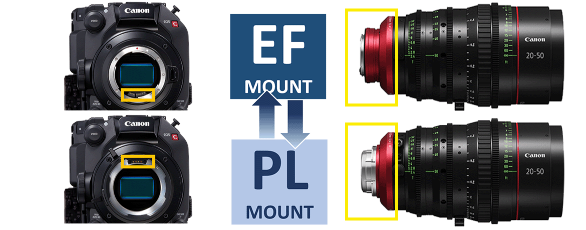 Cinema EOS Lenses - CN-E20-50mm T2.4 L F (EF/PL) - Canon Singapore